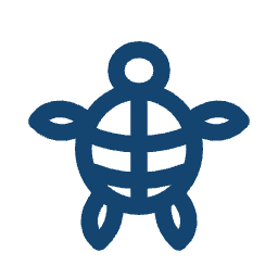 Wild turtles