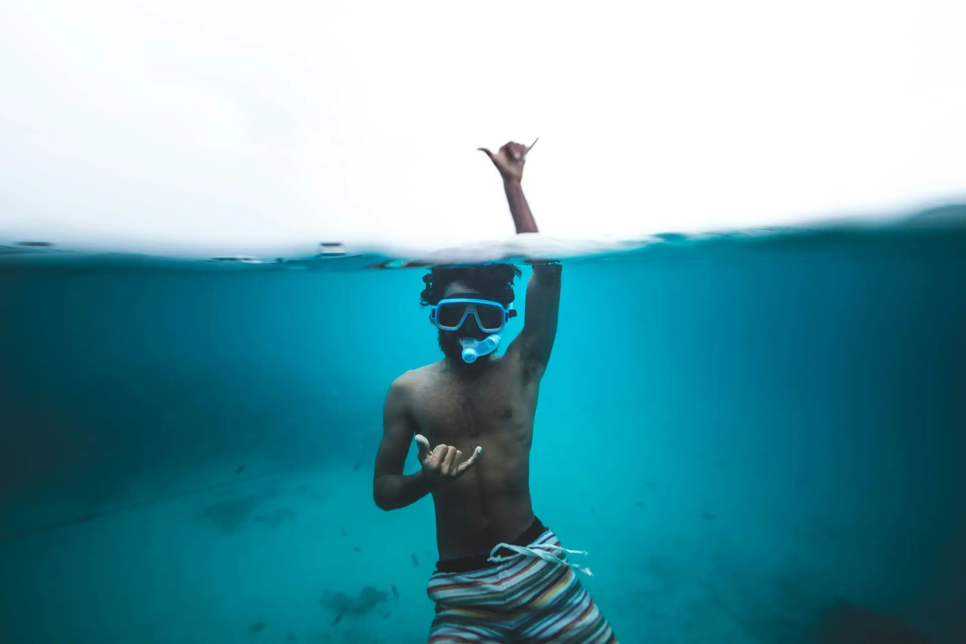 Shifaaz shamoon t4a2jehg1n8 unsplash