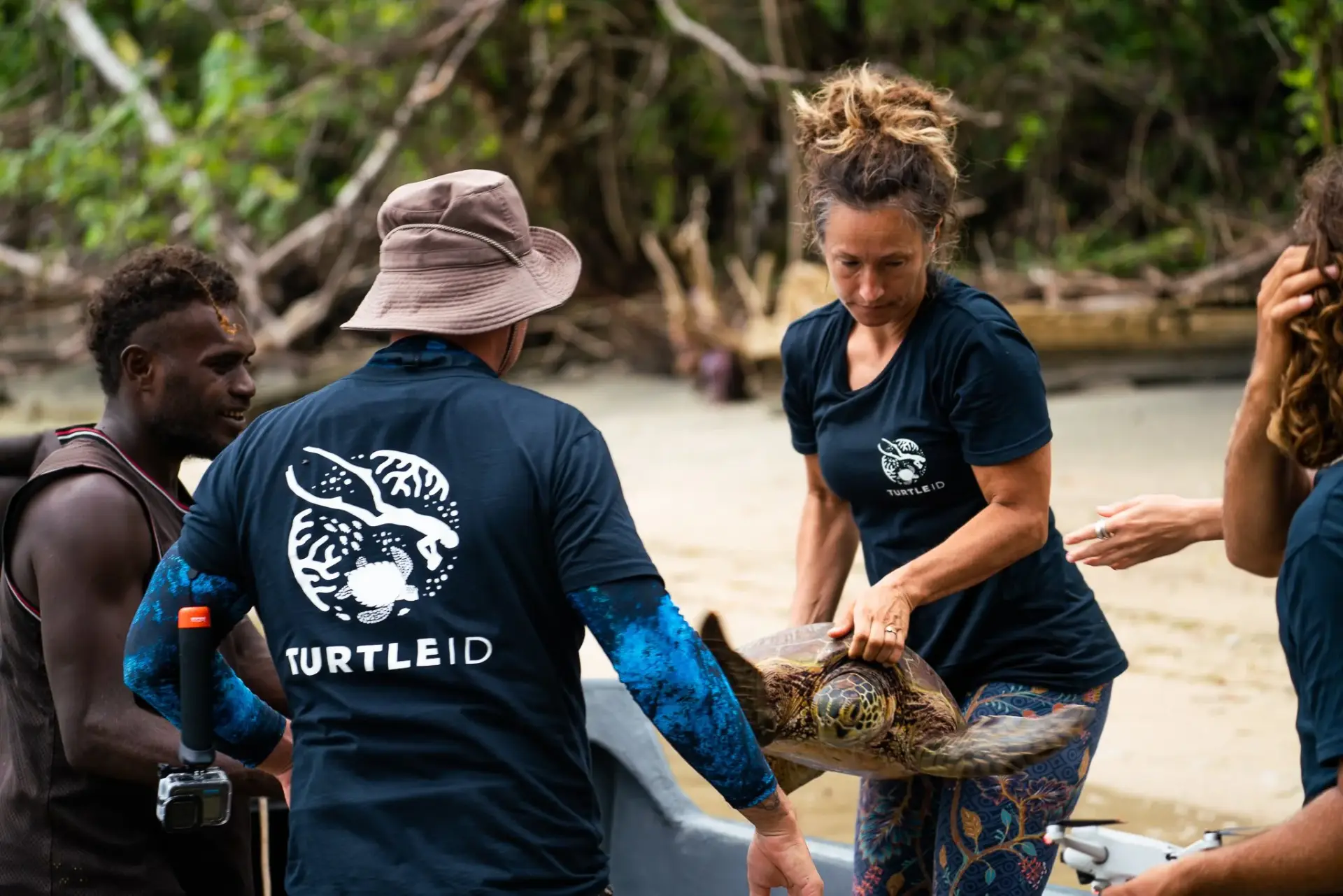 Turtle handlingwebp